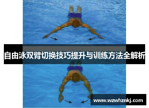 自由泳双臂切换技巧提升与训练方法全解析